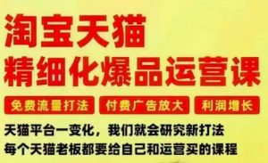 淘宝天猫精细化爆品运营课，免费流量打法-付费广告放大-利润增长-三大核心痛点，一次全部解决-赚金金-技能学习分享