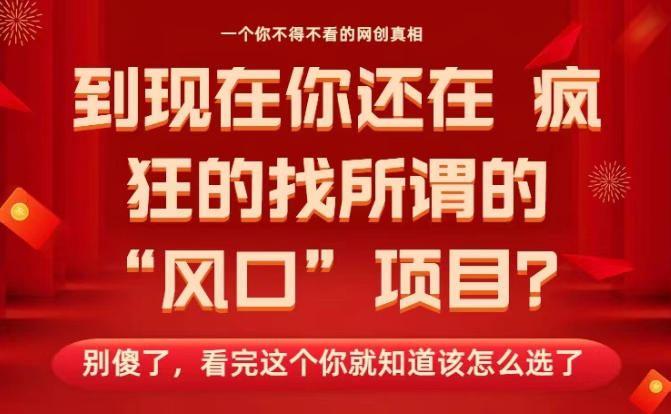 马上26年了，你还在找所谓的风口项目？别傻了，看完这个你全都懂了！【揭秘】-赚金金-技能学习分享