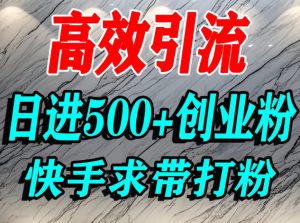 怎么打创业粉？快手求带视角精准引流创业粉，宝妈、学生群体日进500+精准流量-赚金金-技能学习分享