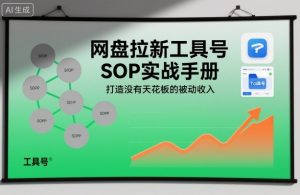 网盘拉新工具号SOP实战手册,打造没有天花板的被动收入-赚金金-技能学习分享