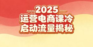 2025小红书运营电商课:新手实战+冷启动+流量揭秘-赚金金-技能学习分享