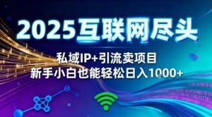 2025网创尽头王炸项目!私域IP+精准引流,新手小白在家躺賺日入1k,零经验也能上手【揭秘】-赚金金-技能学习分享