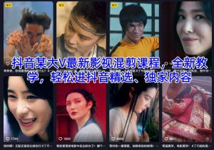 抖音某大V最新影视混剪课程，全新教学，轻松进抖音精选、独家内容-赚金金-技能学习分享