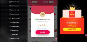 网络项目万能辅助工具_万能配合拉新项目吃遍提成-赚金金-技能学习分享