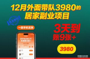 12月外面带队3980的居家副业项目,一部手机实测3天到账9张+,首发教程【揭秘】-赚金金-技能学习分享