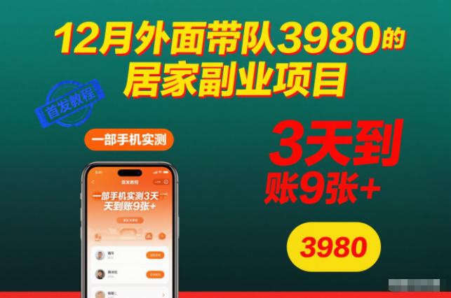 12月外面带队3980的居家副业项目,一部手机实测3天到账9张+,首发教程【揭秘】-赚金金-技能学习分享