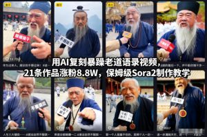 用AI复刻暴躁老道语录视频,21条作品涨粉8.8W,保姆级Sora2制作教学-赚金金-技能学习分享
