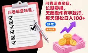 问卷调查项目,长期零撸,无脑操作有手就行,每天轻松日入100+【揭秘】-赚金金-技能学习分享