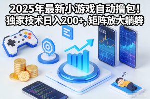 2025年最新小游戏自动撸包!独家技术日入2张+,矩阵放大躺賺【揭秘】-赚金金-技能学习分享