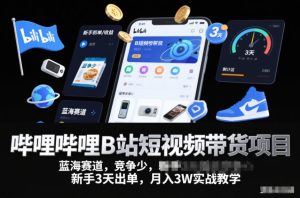 哔哩哔哩B站短视频带货项目,蓝海赛道,竞争少,新手3天出单,月入3W实战教学-赚金金-技能学习分享