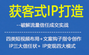 获客型IP打造,破解流量信任成,四类短视频布局+文案钩子指令创作IP三大信任状+IP变现四大模式-赚金金-技能学习分享