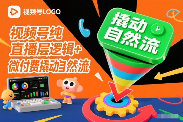 视频号纯直播底层逻辑+微付费撬动自然流-赚金金-技能学习分享