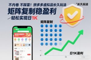 不内卷不踩雷！拼多多虚拟品长久玩法，矩阵复制稳盈利，轻松实现日1K【揭秘】-赚金金-技能学习分享