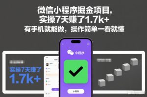 微信小程序掘金项目,实操7天賺了1.7k+,有手机就能做,操作简单一看就懂【揭秘】-赚金金-技能学习分享