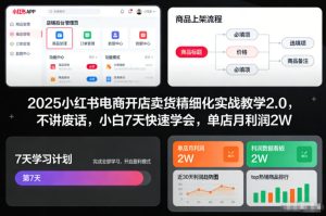 2025小红书电商开店卖货精细化实战教学2.0，不讲废话，小白7天快速学会，单店月利润2W-赚金金-技能学习分享