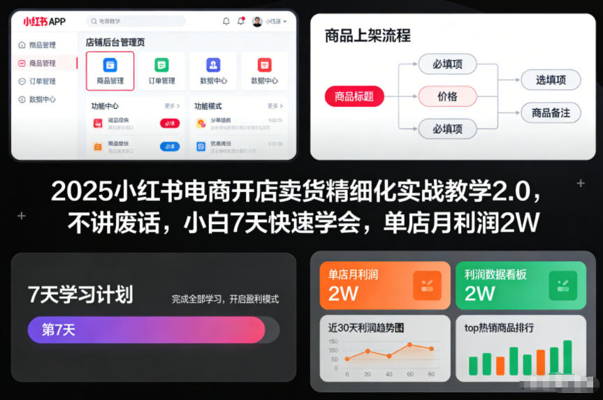 2025小红书电商开店卖货精细化实战教学2.0，不讲废话，小白7天快速学会，单店月利润2W-赚金金-技能学习分享