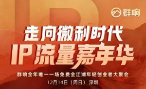 2025ip嘉年华万人12月14深圳线下课，走向微利时代，IP流量嘉年华，实操性极强的商业干货课-赚金金-技能学习分享