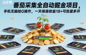番茄采集全自动掘金项目，手机无脑挂G操作，一天保底收益18+可批量多开【揭秘】-赚金金-技能学习分享