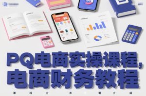 PQ电商实操课程，电商财务教程-赚金金-技能学习分享