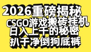 2026开年重磅解密,CSGO游戏搬砖挂G日入1k+的秘密,把倒狗的底裤扒干【揭秘】-赚金金-技能学习分享