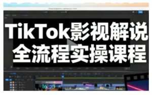TikTok影视解说全流程实操，手把手教你打造TK爆款解说视频-赚金金-技能学习分享