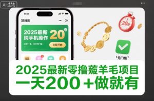 2025最新零撸薅羊毛项目，纯手机操作，20秒一单，无任何门槛，一天200+做就有【揭秘】-赚金金-技能学习分享