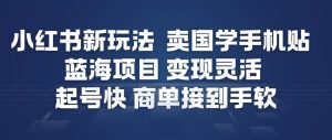 小红书新玩法，卖国学手机贴，蓝海项目，变现灵活，起号快，商单接到手软-赚金金-技能学习分享