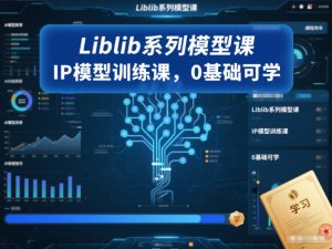 Liblib系列模型课,IP模型训练课,0基础可学-赚金金-技能学习分享