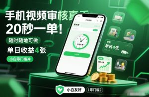 手机视频审核真香!20秒一单,随时随地可做,单日收益4张,小白零门槛冲【揭秘】-赚金金-技能学习分享