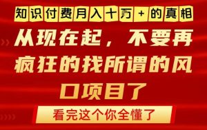 知识付费月入10个W的真相，做网创项目这一个就够了，不要再疯狂的找所谓的风口项目【揭秘】-赚金金-技能学习分享