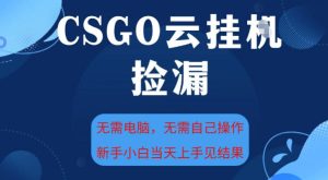 CSGO云挂G全自动捡漏,最新独家玩法,无需电脑操作,新手小白日入5张+【揭秘】-赚金金-技能学习分享