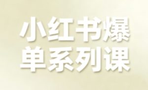 小红书爆单系列课,聚焦小红书电商全链路增长(更新)-赚金金-技能学习分享