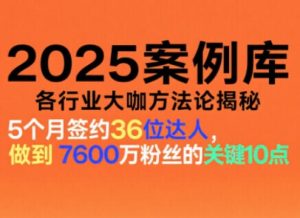 2025案例库，收录各行业大咖的方法论，各行业大咖方法论揭秘-赚金金-技能学习分享