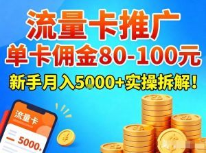 流量卡推广，单卡佣金80-100，新手月入5k+实操拆解！-赚金金-技能学习分享