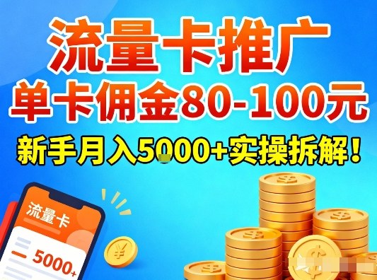 流量卡推广，单卡佣金80-100，新手月入5k+实操拆解！-赚金金-技能学习分享