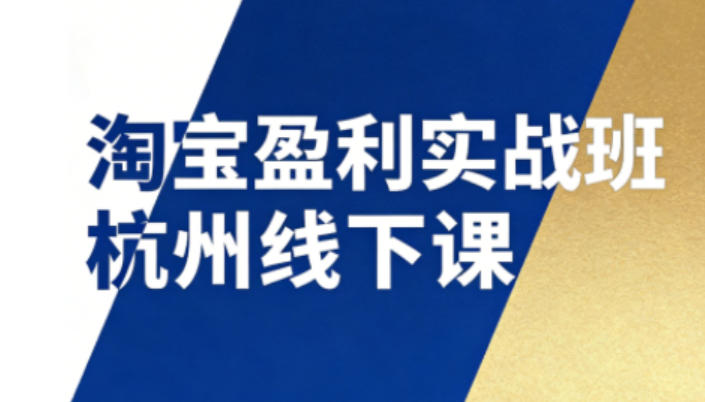 淘宝盈利实战班杭州线下课12月26-28日（音频+字幕），帮你掌握SOP流程+12门核心技术-赚金金-技能学习分享