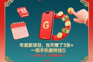 年底新项目，当天賺了3张+，一部手机搬砖挂G，5分钟上手，保姆级教程【揭秘】-赚金金-技能学习分享