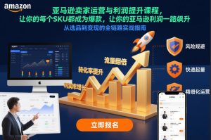 亚马逊卖家运营与利润提升课程，让你的每个SKU都成为爆款，让你的亚马逊利润一路飙升（更新12月）-赚金金-技能学习分享