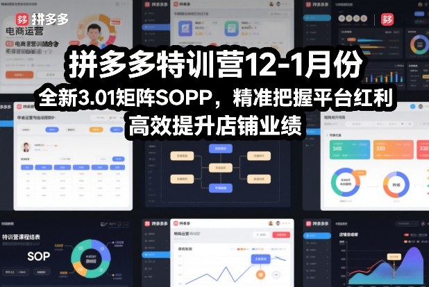 拼多多特训营12-1月份,全新3.01矩阵Sop,精准把握平台红利,高效提升店铺业绩