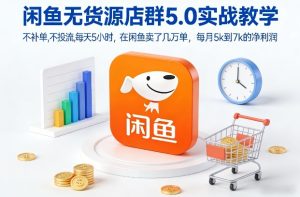 闲鱼无货源店群5.0实战教学，不补单，不投流，每天5小时，在闲鱼卖了几万单，每月5k到7k的净利润-赚金金-技能学习分享