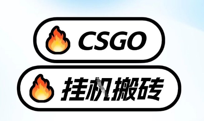 真全网独家CSGO挂G，最新玩法,单日捡漏1K+，不用电脑，不用打游戏【揭秘】-赚金金-技能学习分享