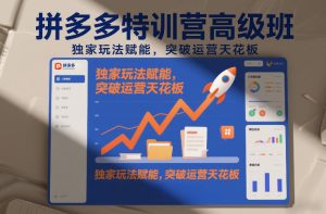 拼多多特训营高阶班，独家玩法赋能，突破运营天花板（更新26年1月）-赚金金-技能学习分享