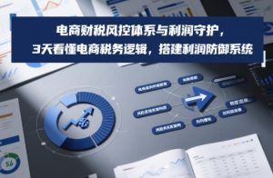 电商财税风控体系与利润守护，3天看懂电商税务逻辑，搭建利润防御系统-赚金金-技能学习分享