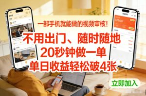 一部手机就能做的视频审核！不用出门，随时随地，20秒钟做一单，单日收益轻松破4张【揭秘】-赚金金-技能学习分享