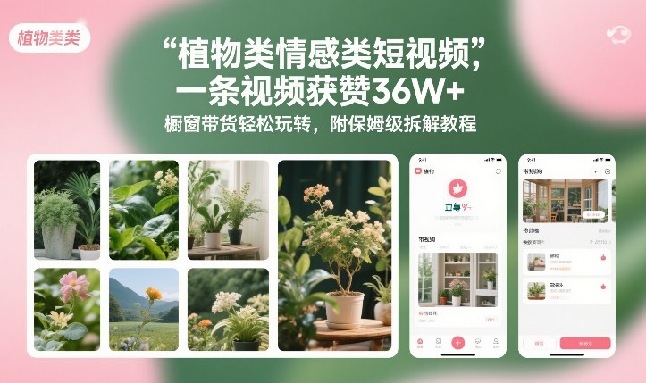 植物类情感类短视频，一条视频获赞36W+，橱窗带货轻松玩转，附保姆级拆解教程-赚金金-技能学习分享