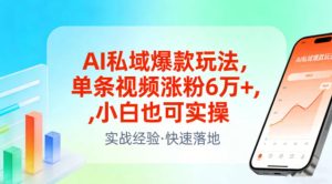 AI私域爆款玩法,单条视频涨粉6W+,小白也可实操-赚金金-技能学习分享