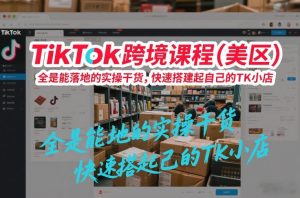 TikTok跨境课程（美区），全是能落地的实操干货，快速搭建起自己的TK小店-赚金金-技能学习分享