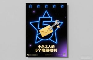 付费文章：小众之人的5个隐藏福利-赚金金-技能学习分享