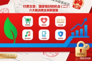 付费文章:国家看好的机会(二):六大新消费及其新增量-赚金金-技能学习分享