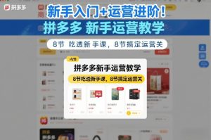 新手入门+运营进阶！拼多多新手运营教学，8节吃透新手课，8节搞定运营关-赚金金-技能学习分享